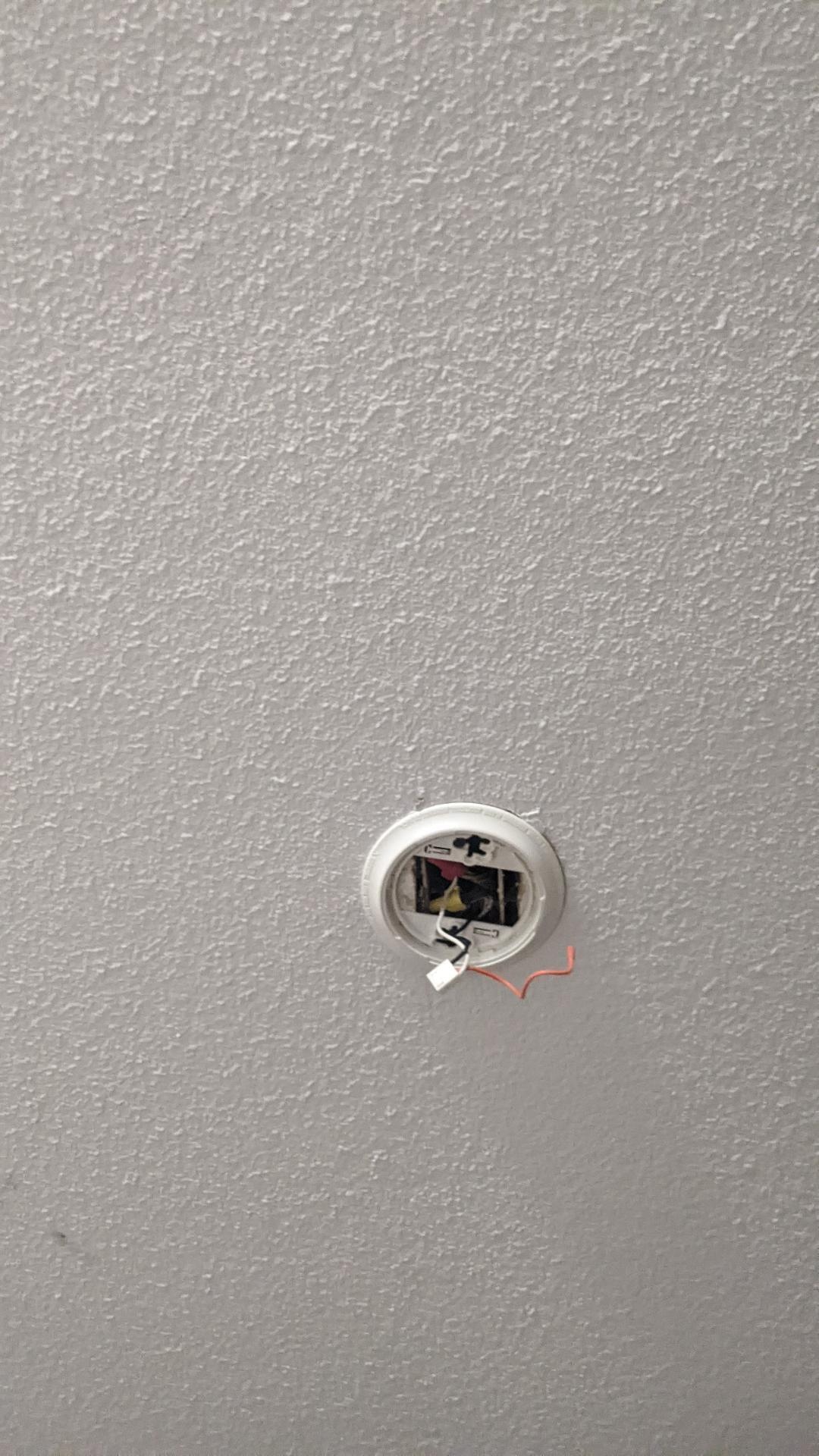 ceiling no smoke detector