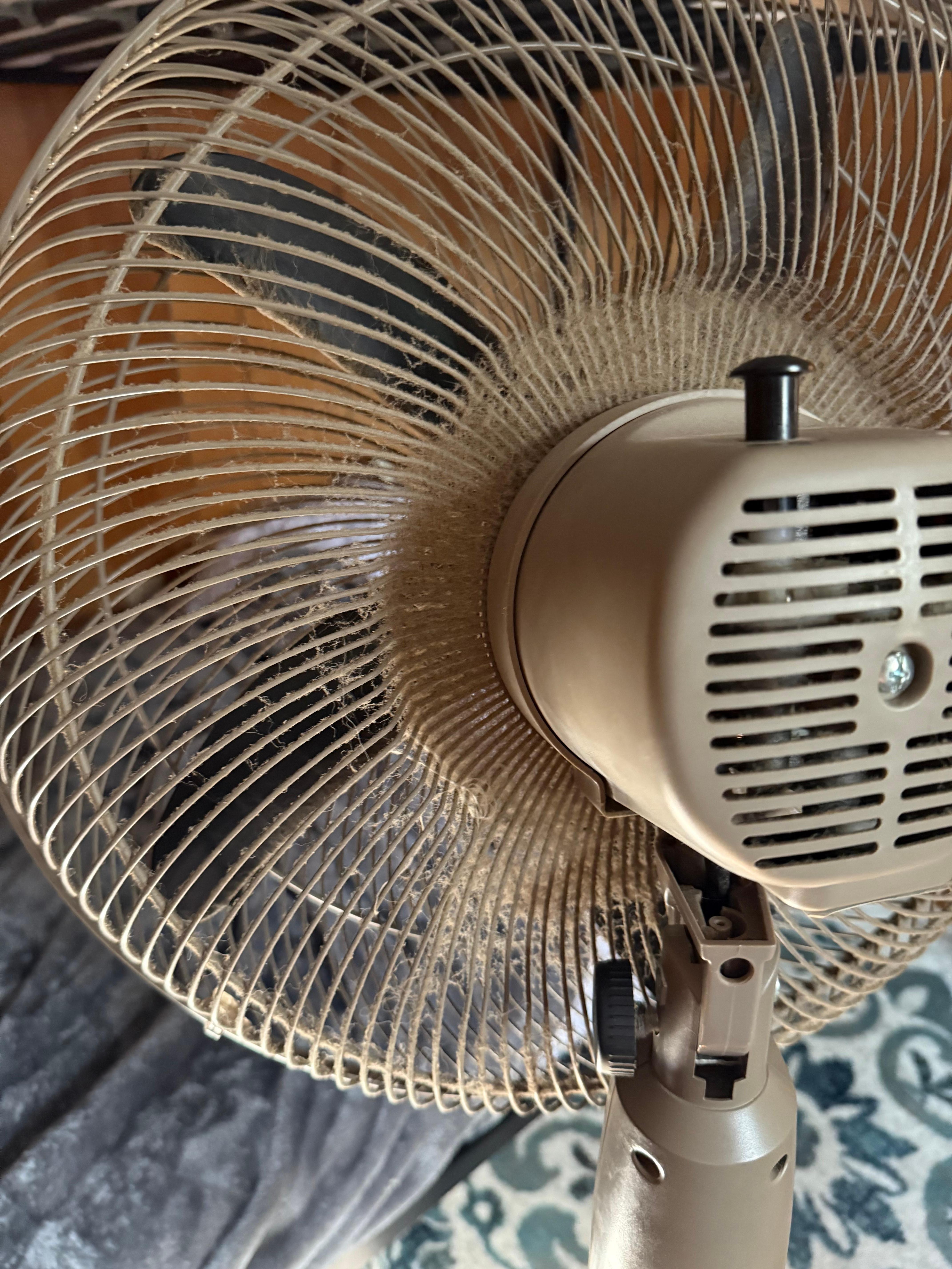 One of our only fans 