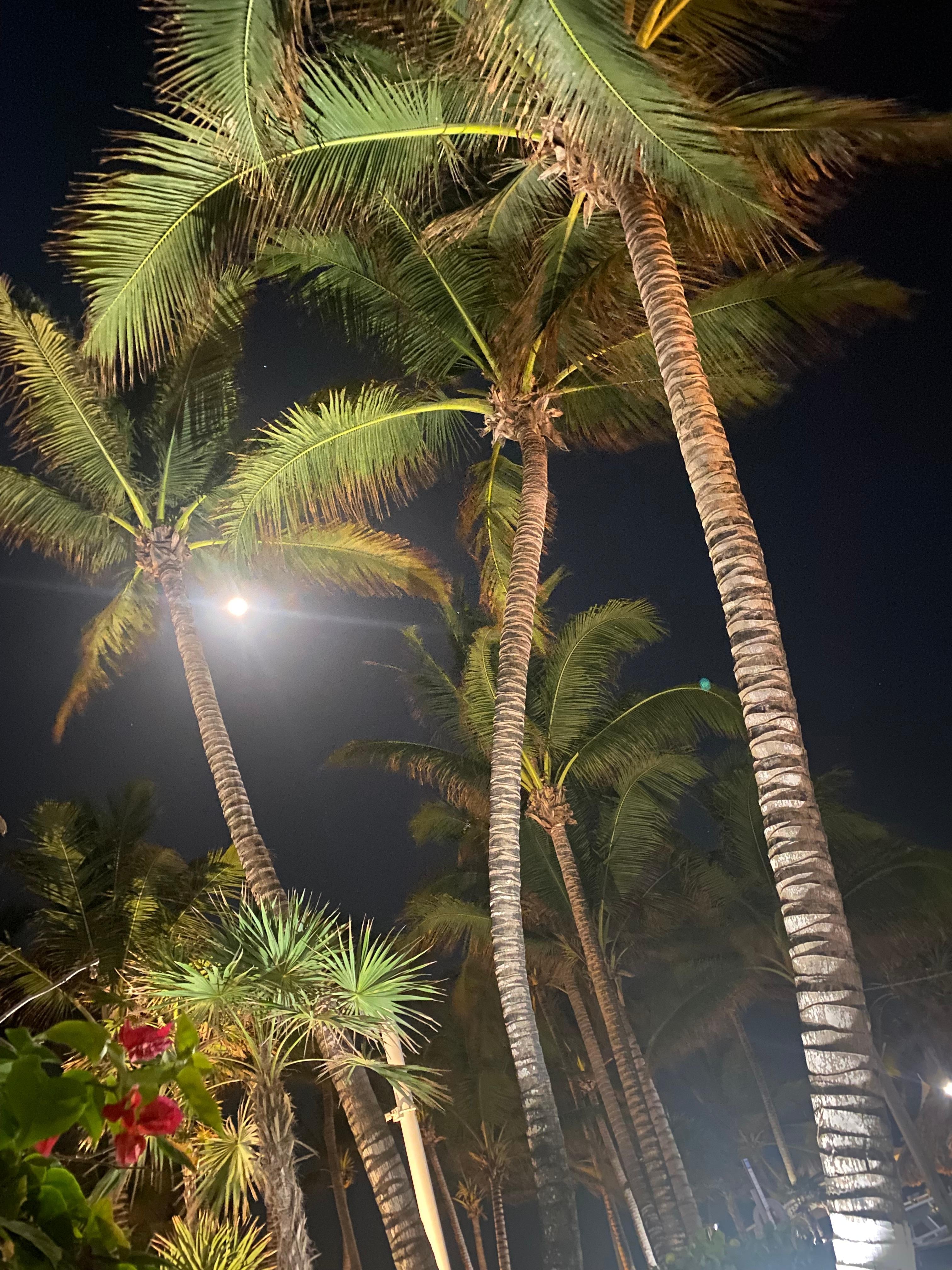 Full moon in Belize