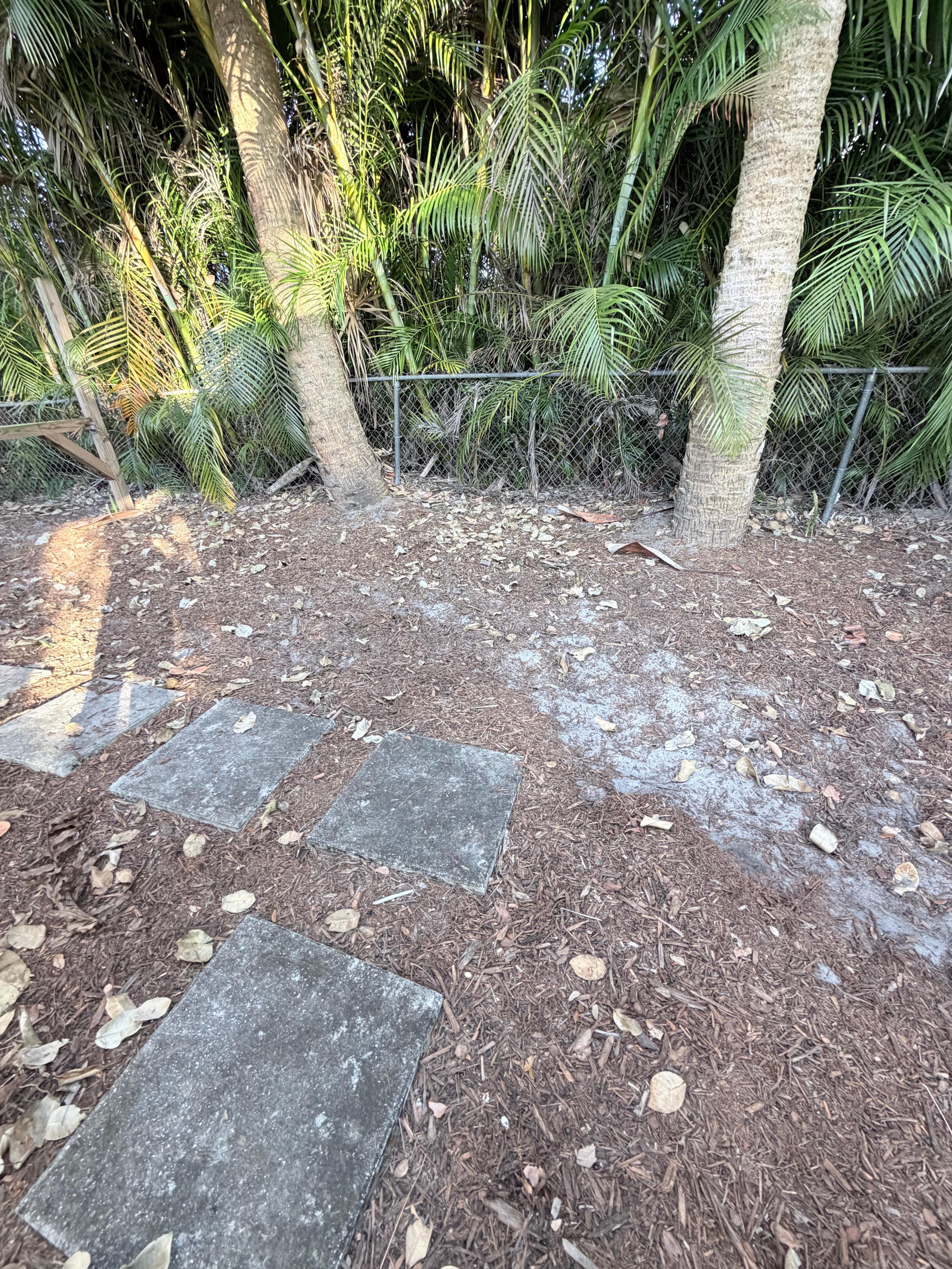 Lots of gray dirt exposed 