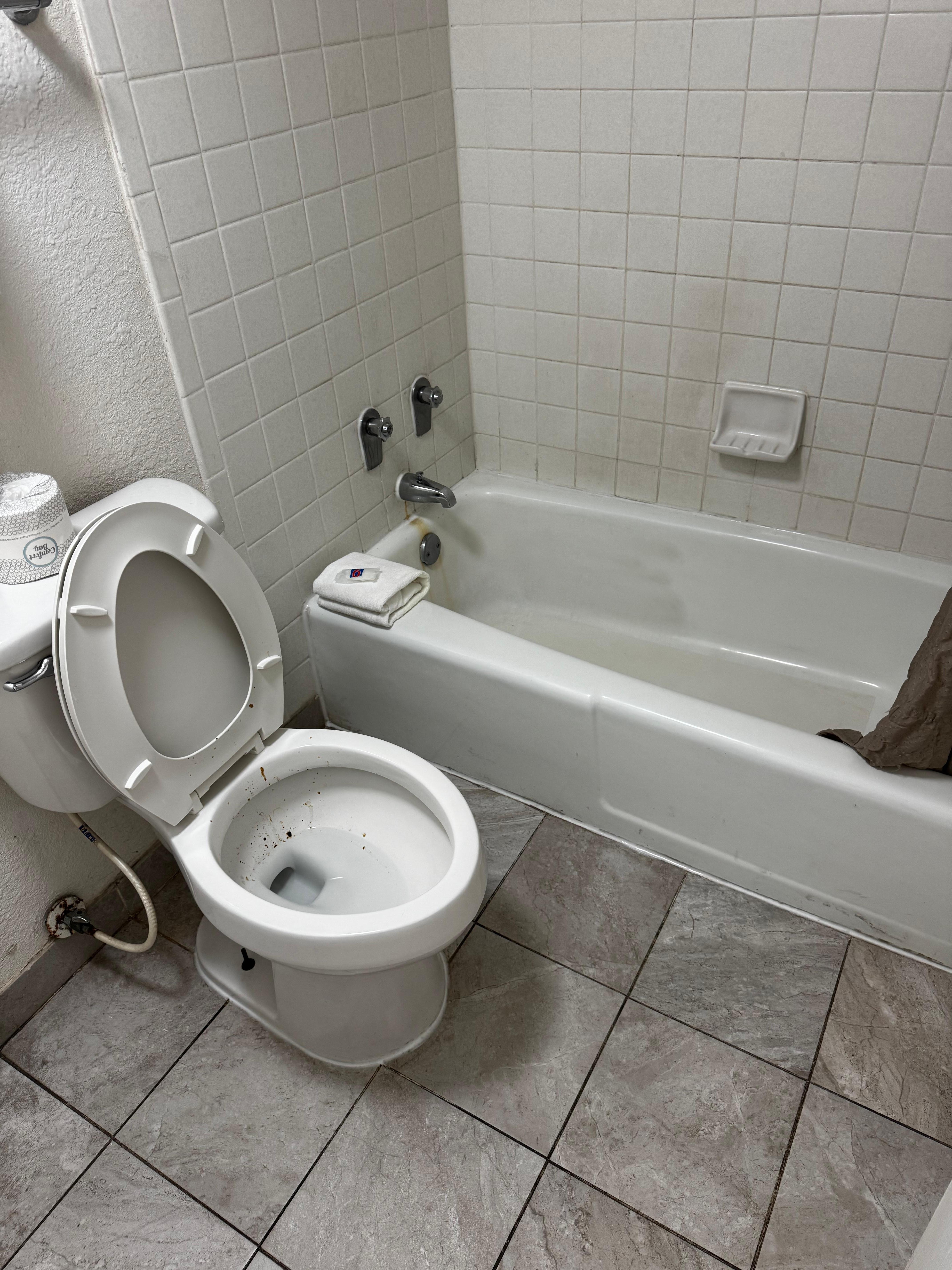 Feces in the toilet and yellow stains in the tub upon arrival 