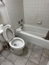 Feces in the toilet and yellow stains in the tub upon arrival