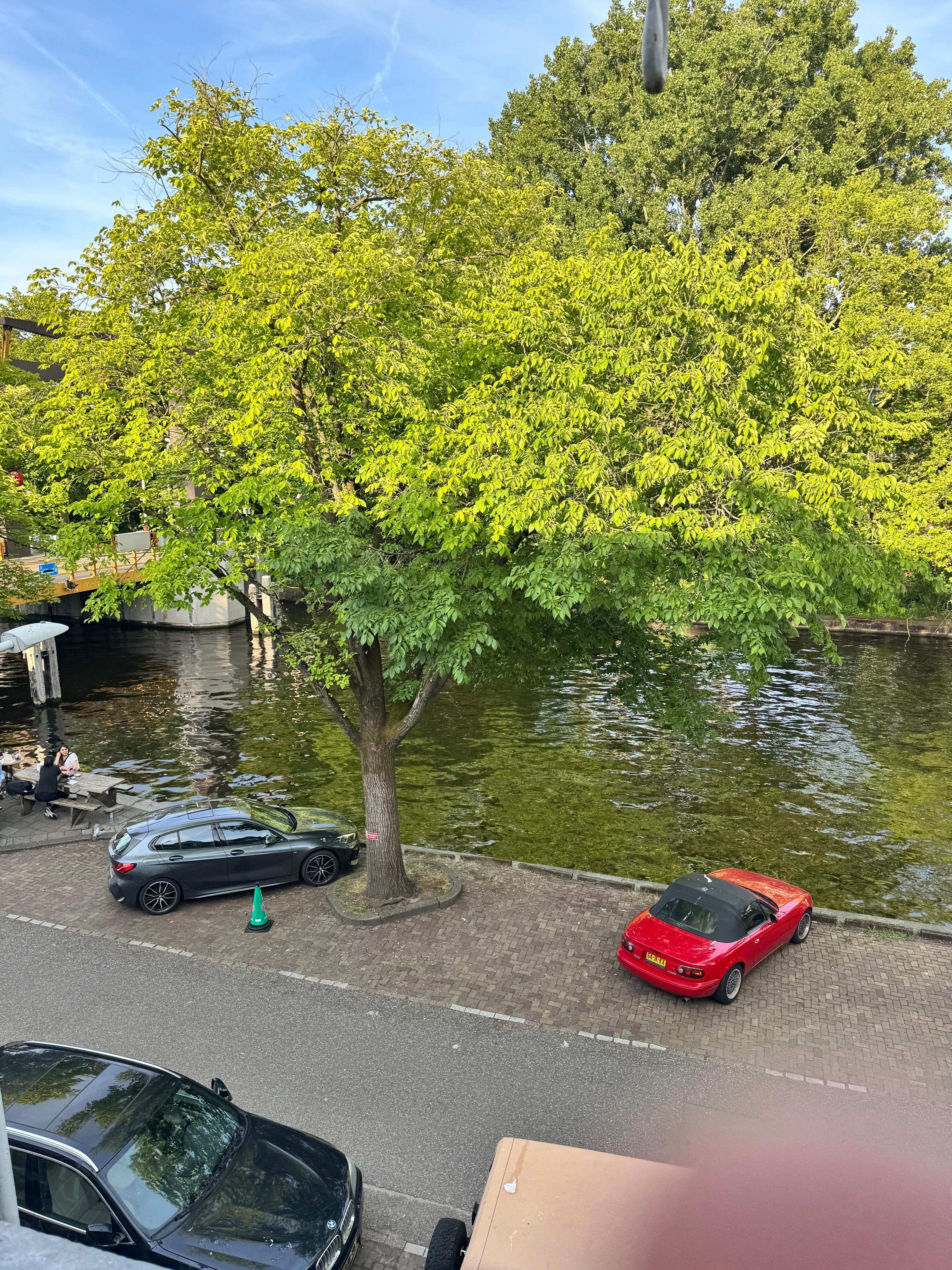 View of the canal from the room. 
