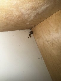 Bathroom had mold or just dirty spots all over the walls and the hair dryer didn’t work.