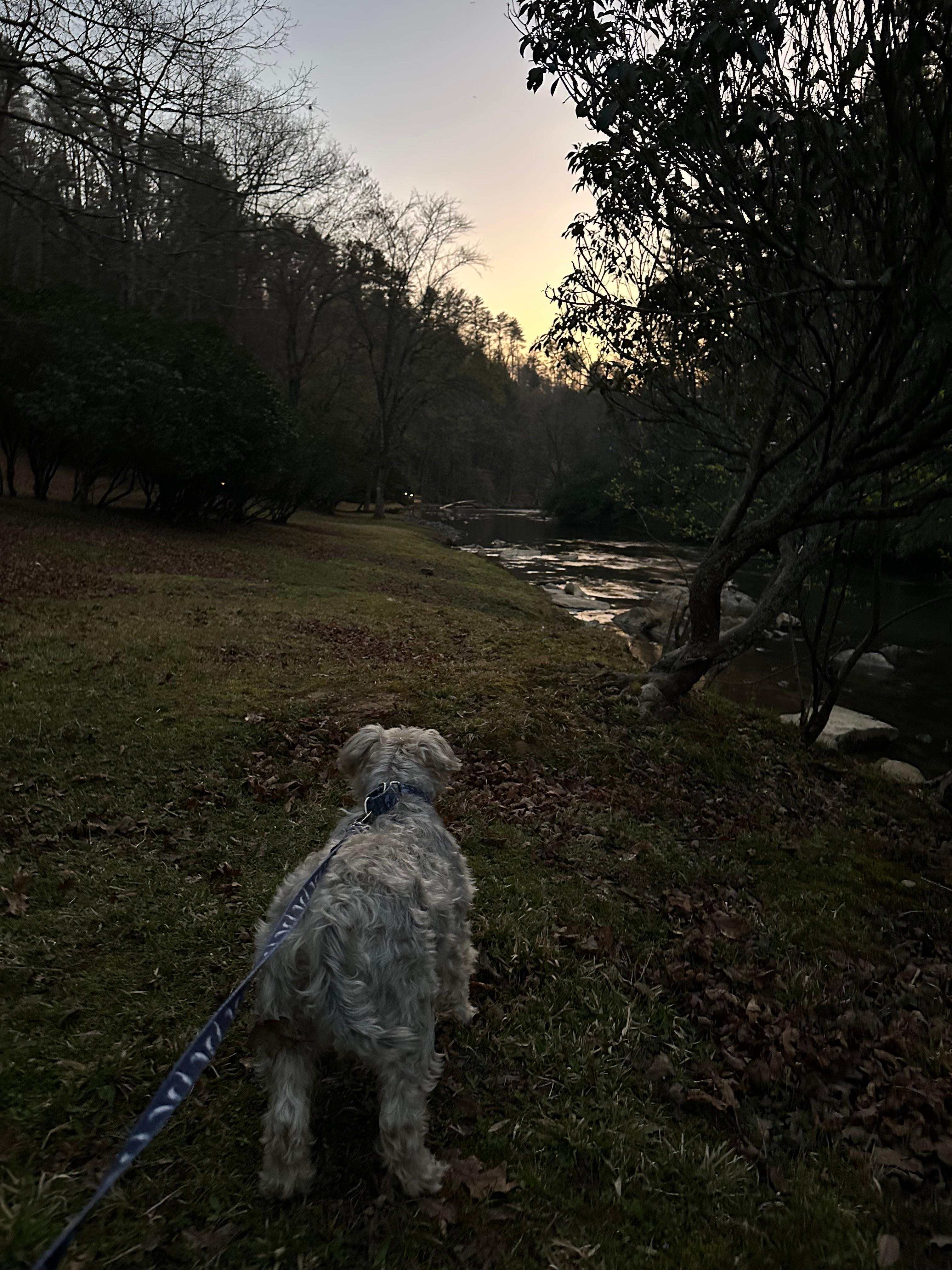 Enjoyed walking on the property 