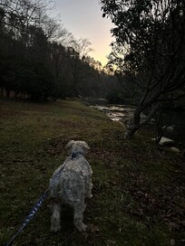 Enjoyed walking on the property