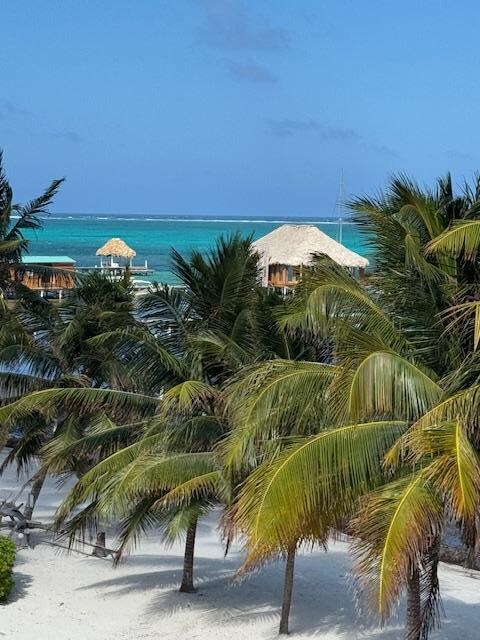 View from the balcony