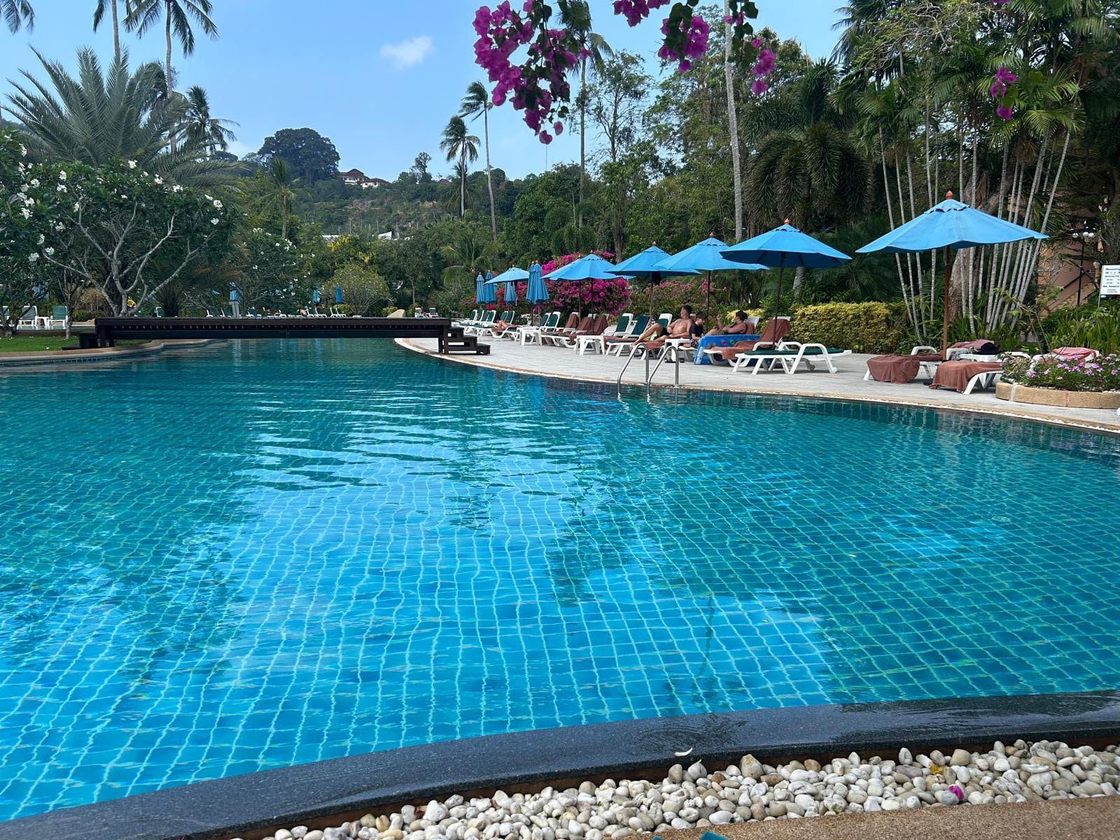 Huge pool with 3 waterslides