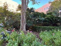Beautiful courtyard!