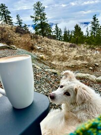 Morning coffee with a view.