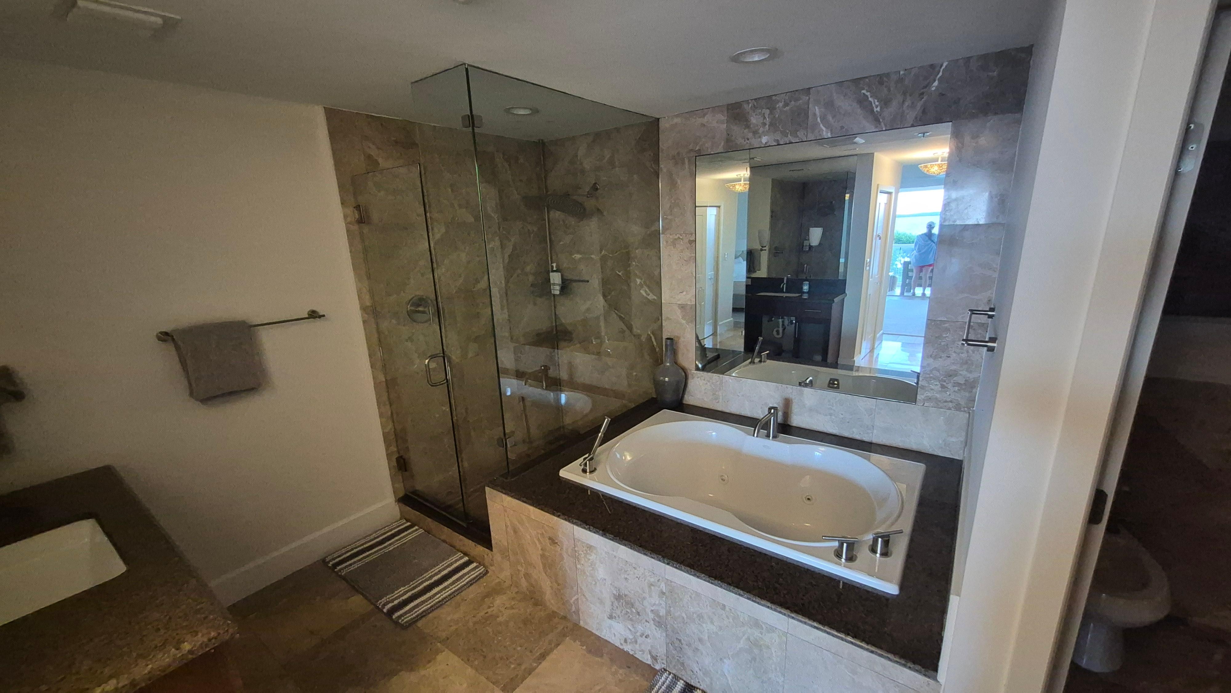 Master Bathroom Garden Tub & Shower