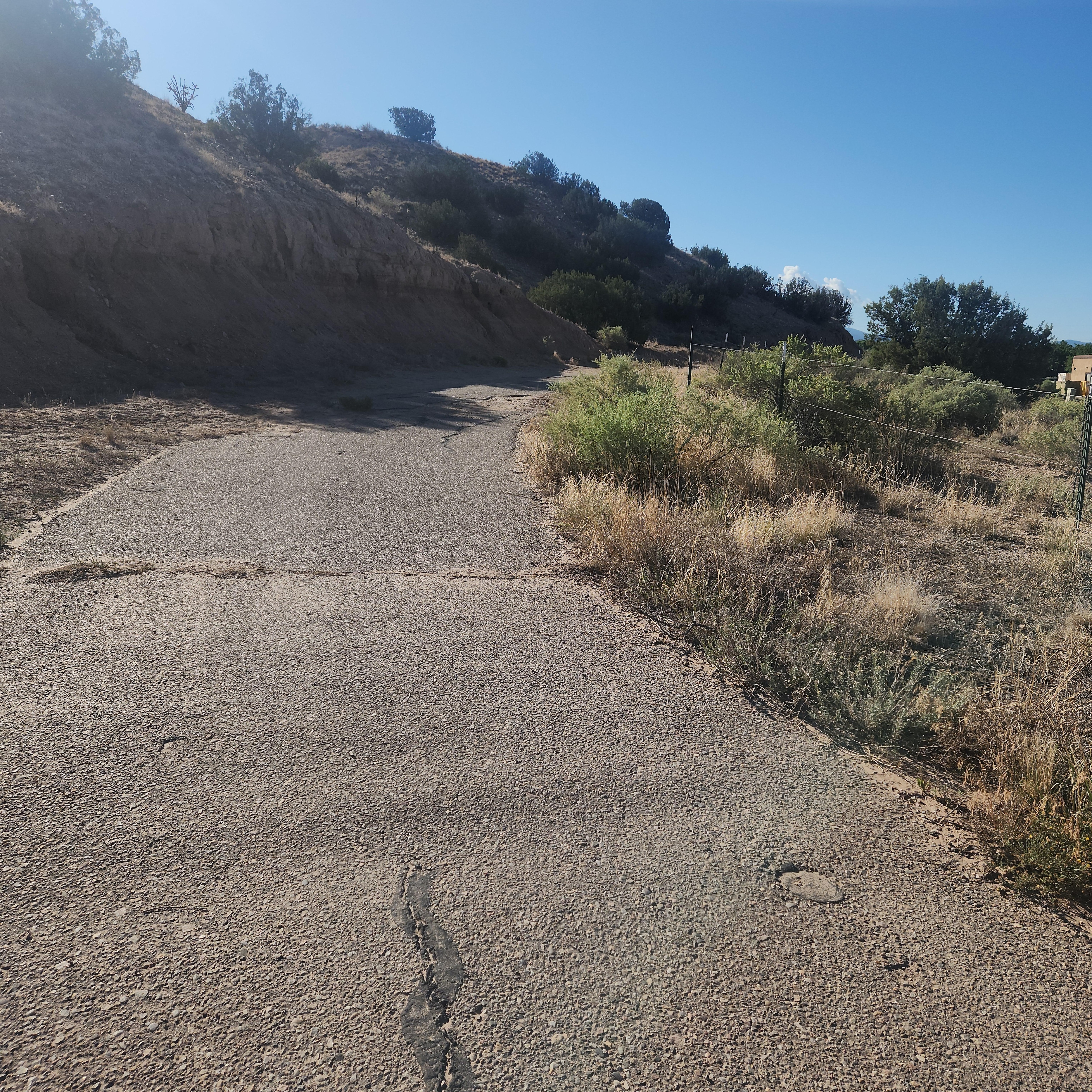 Scene from hiking path