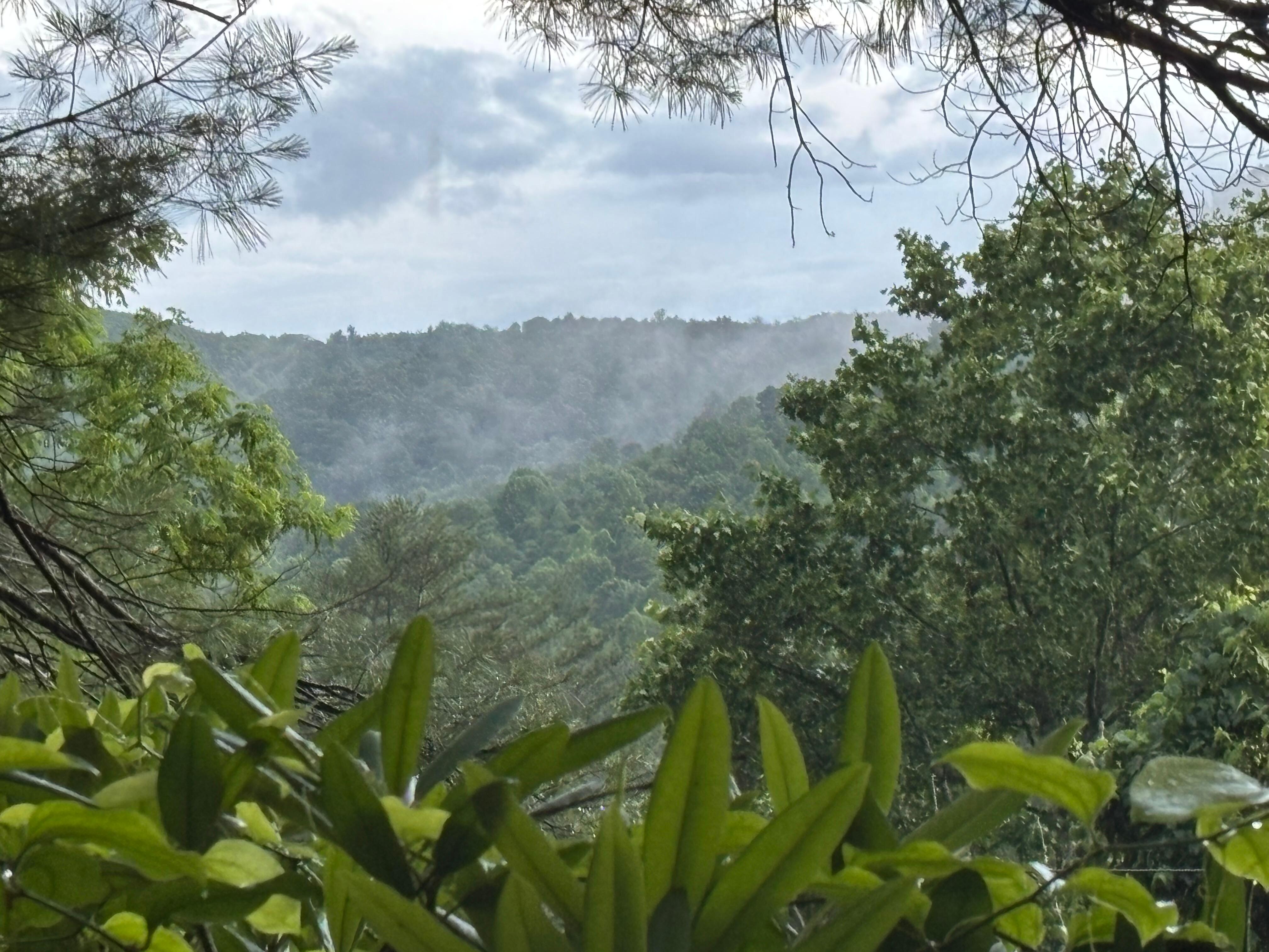 From porch