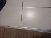 Carreau cassé dès l'entrée dans la chambre