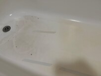 Washed the tub… this is as good as it gets here.