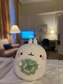 Acomodação da ala lateral