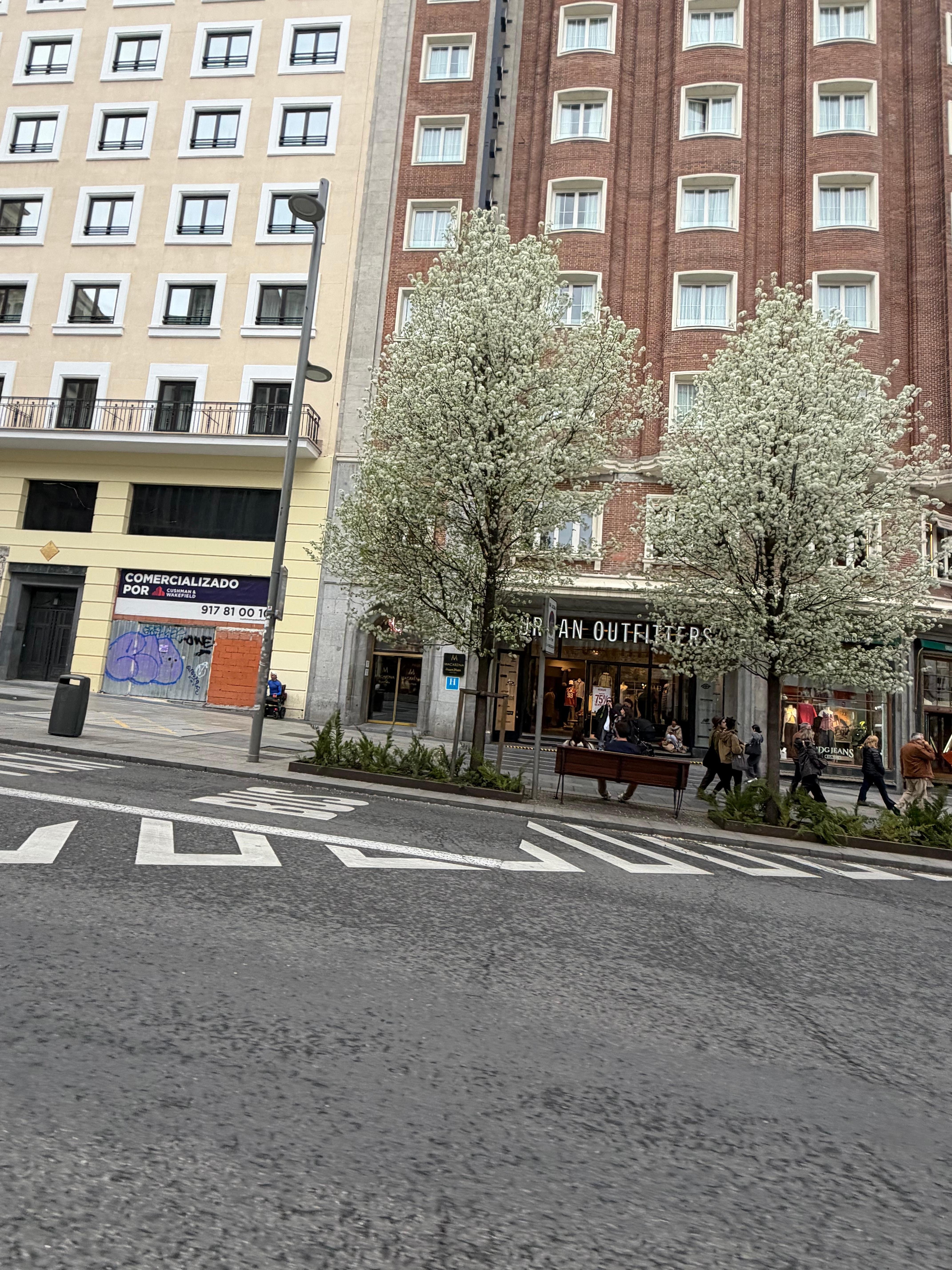 Small entrance but plenty of room inside de place. Beautiful decor.