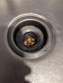 Gross stuff in the sink when we checked in