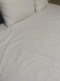 Cabellos en la cama y sábanas mal lavadas.