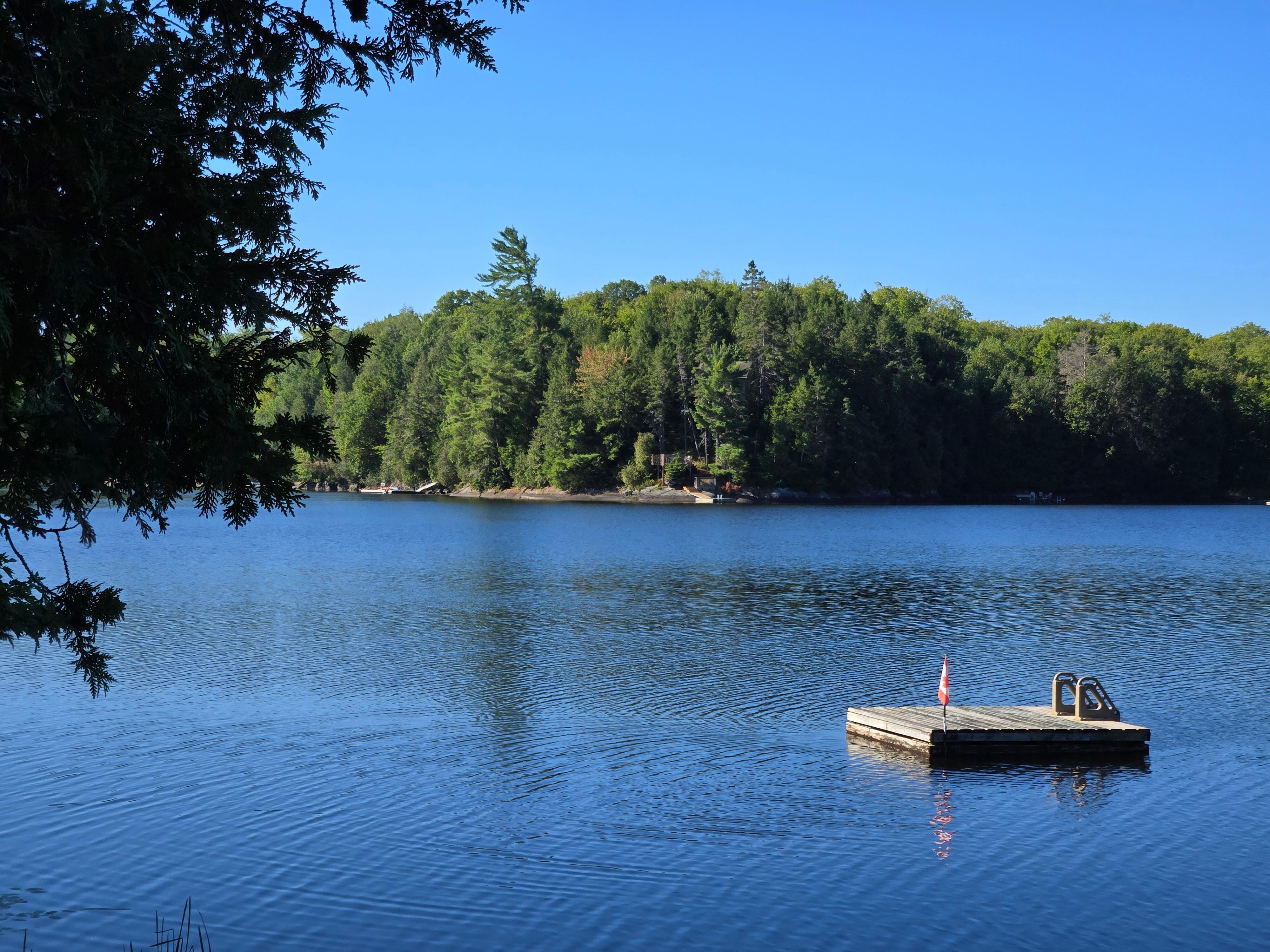 Lake & swim platform. Great sunning & swimming