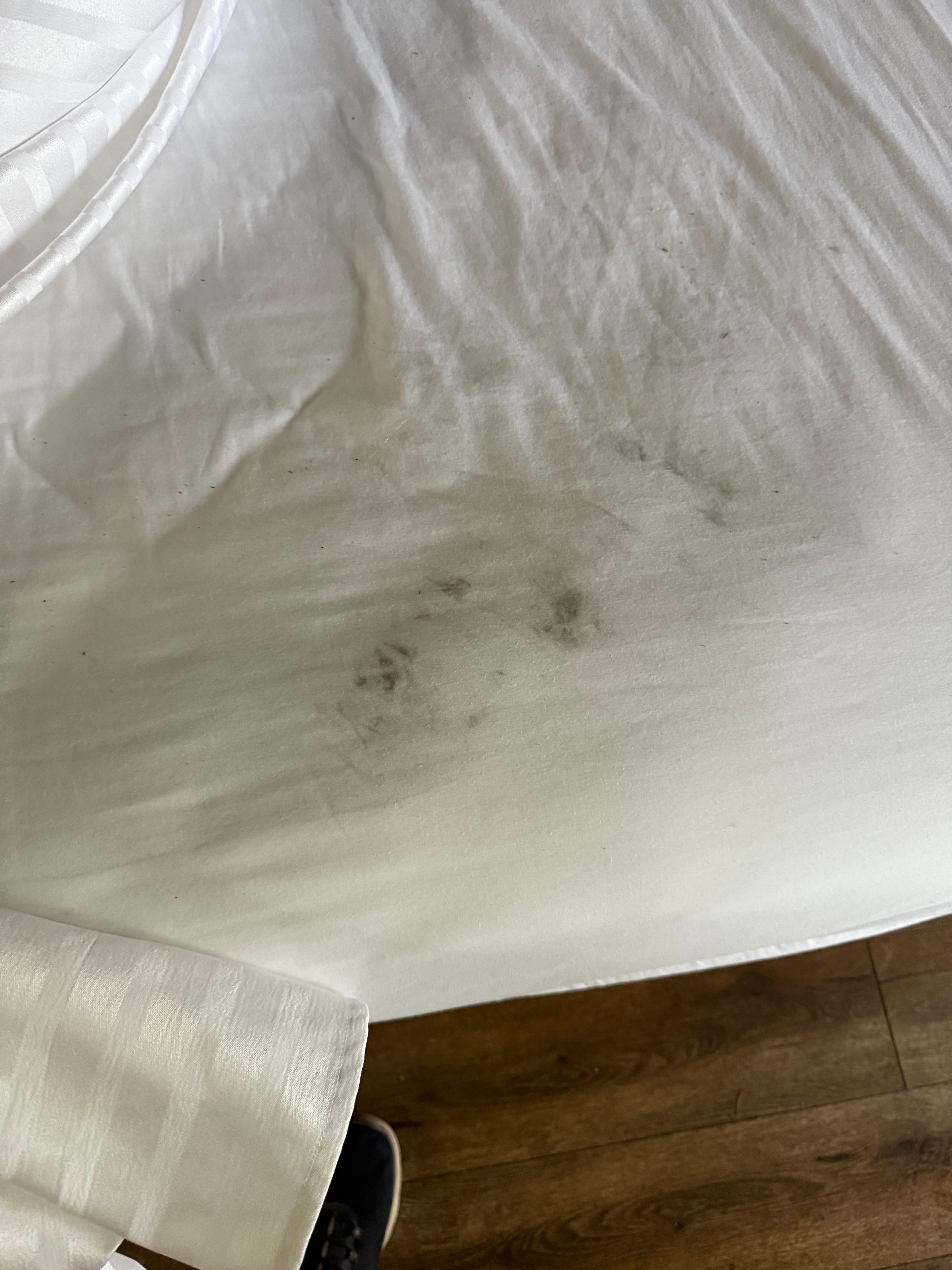 This was the sheets. 