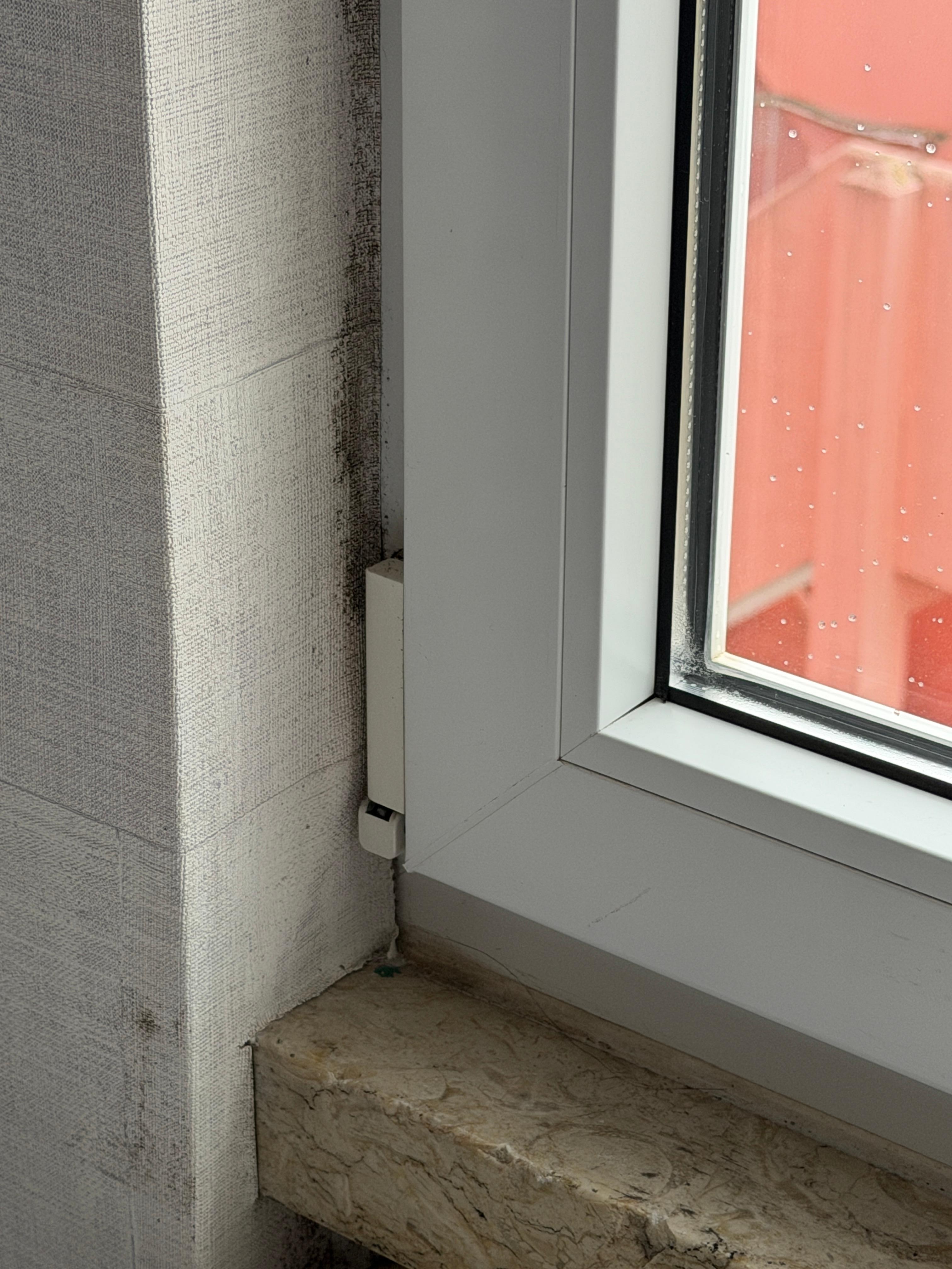 Mold on the window