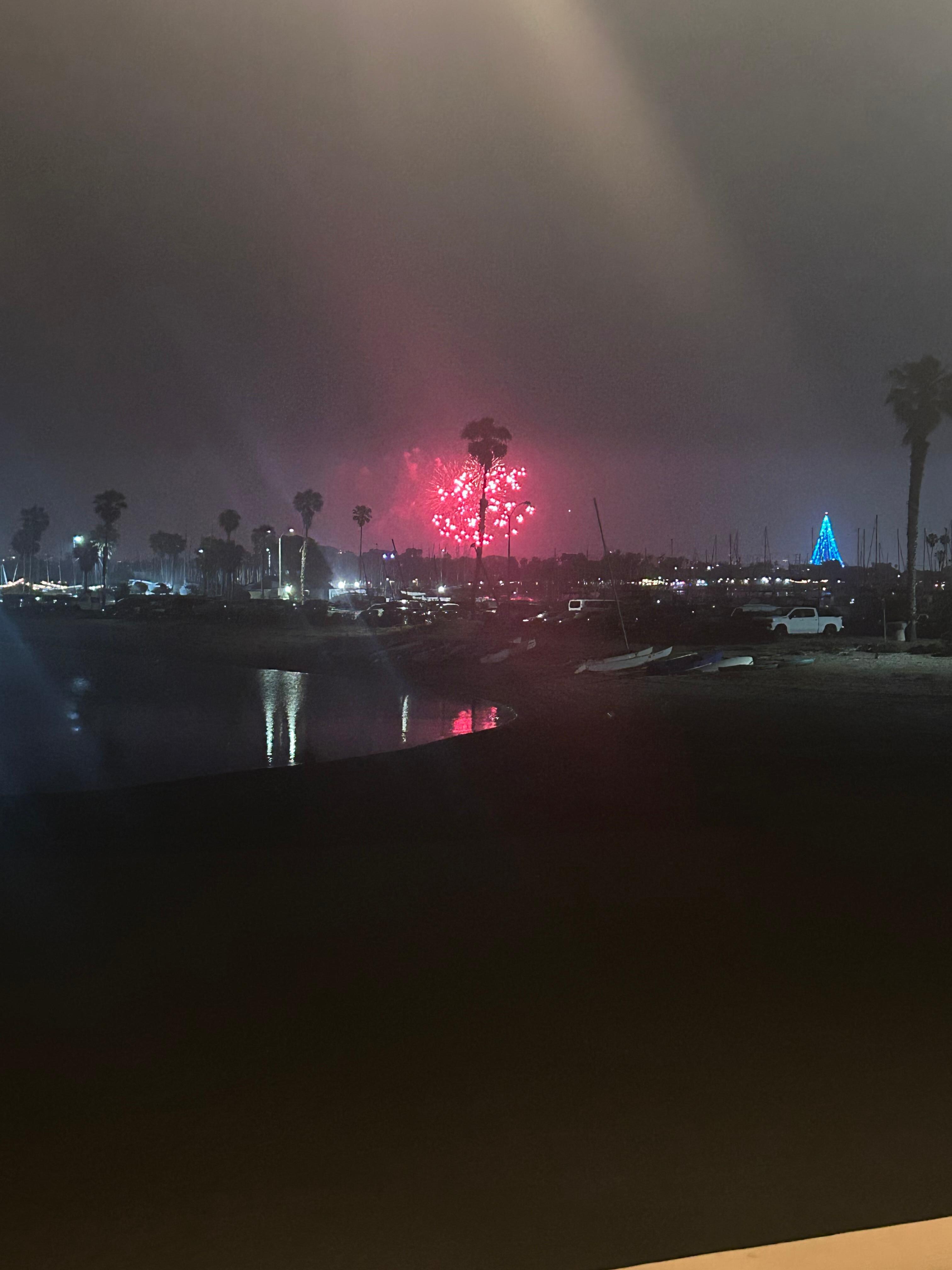 Great view of fireworks at SeaWorld!