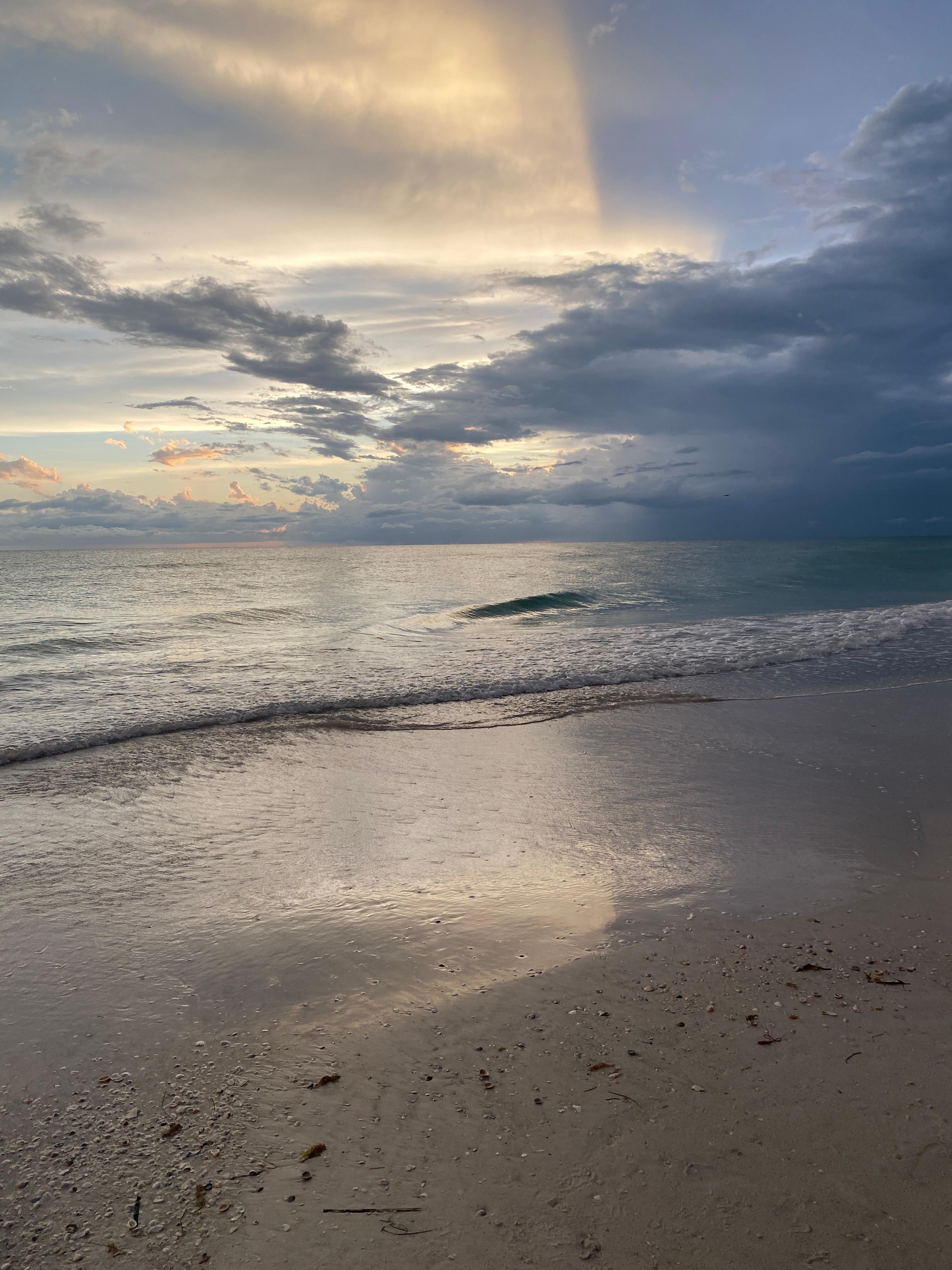 The beach life. 
