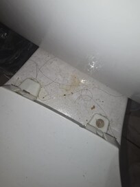toilet filthy
