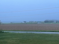 Foggy morning delight