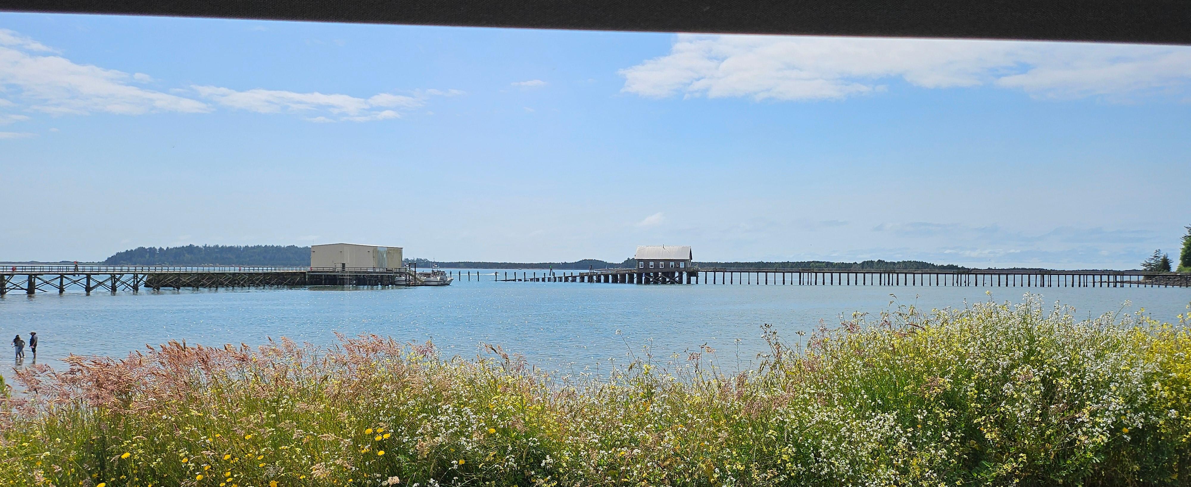 Picture window view.