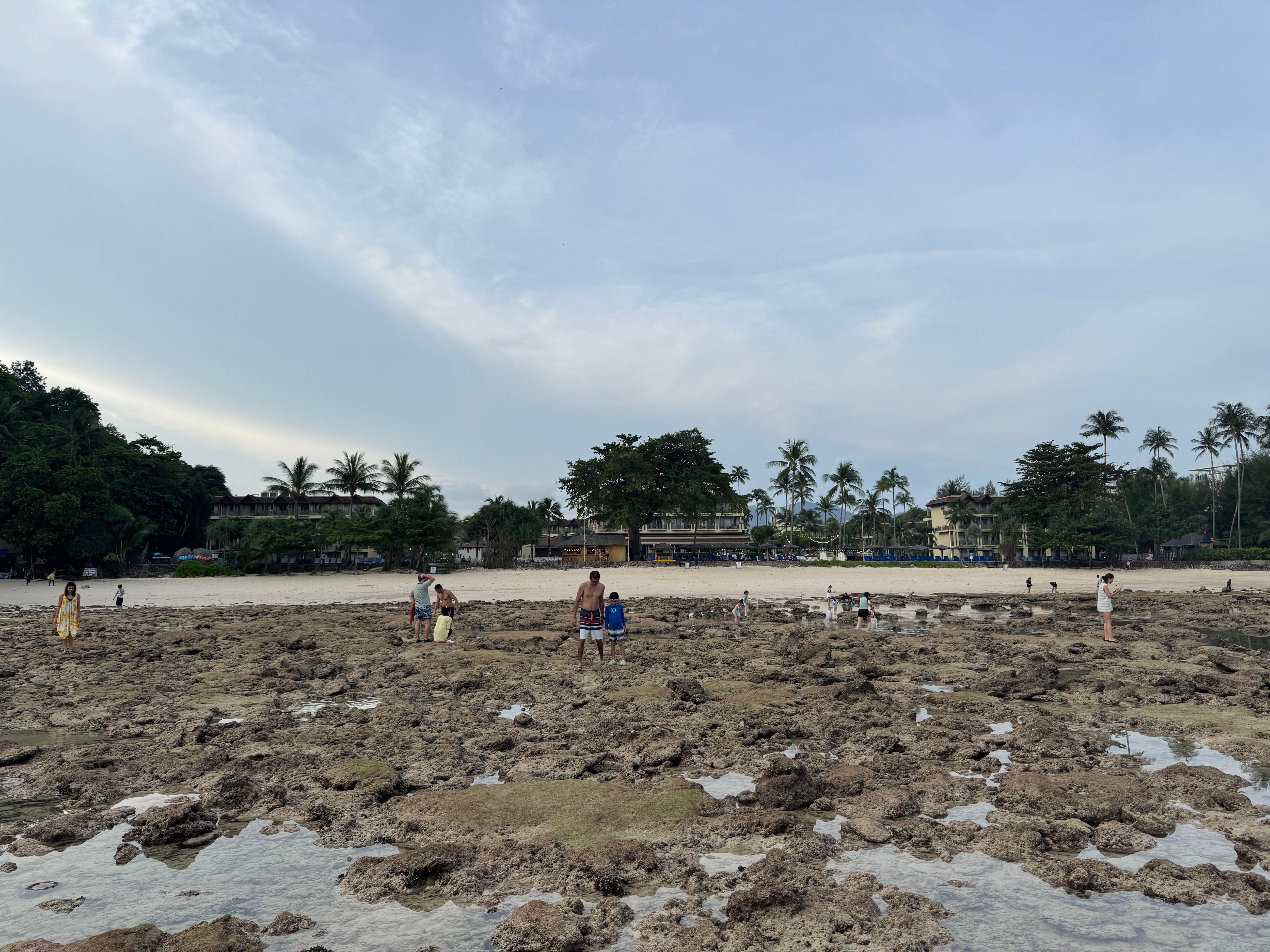 Low tide beach strolling