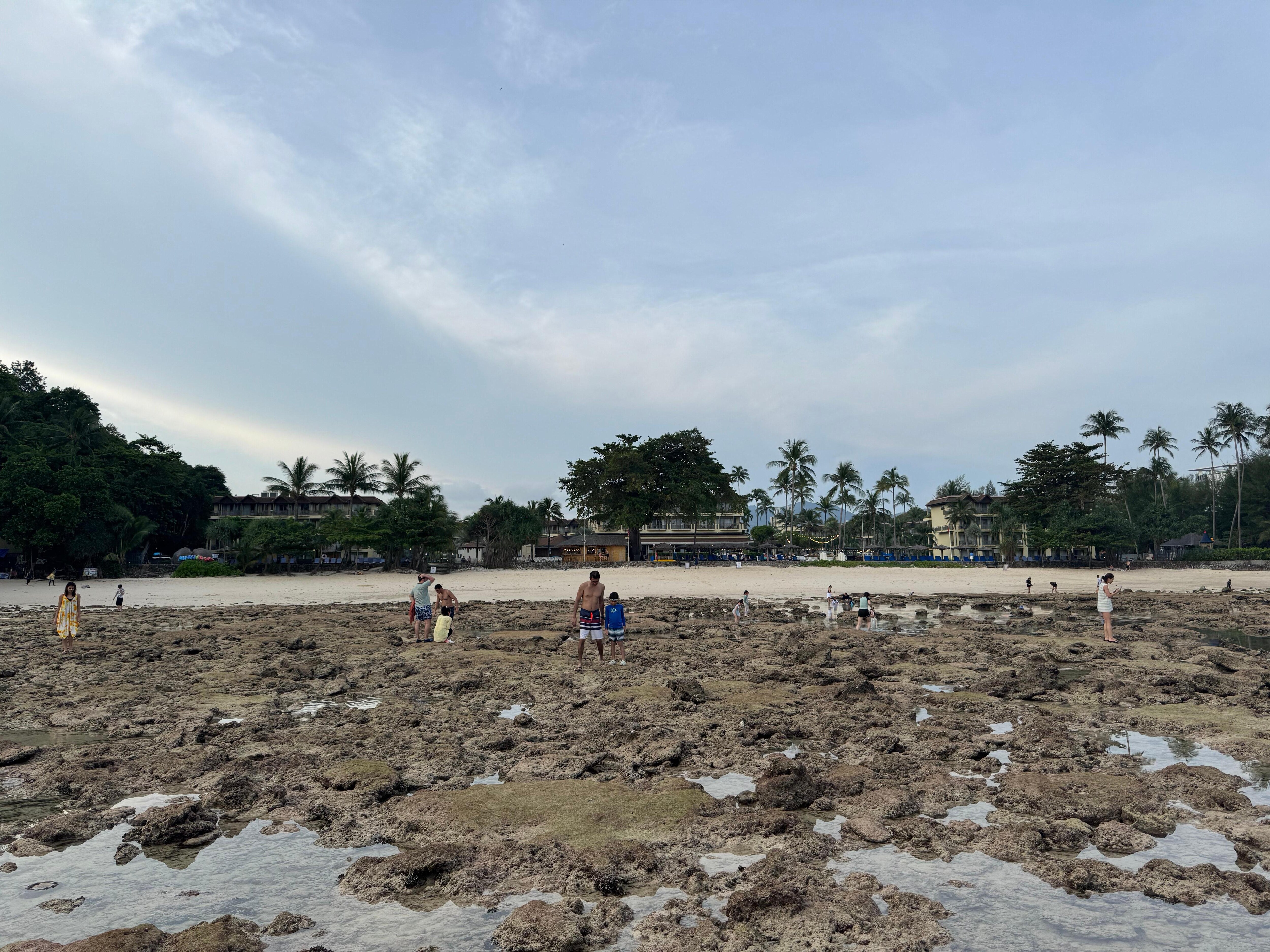 Low tide beach strolling