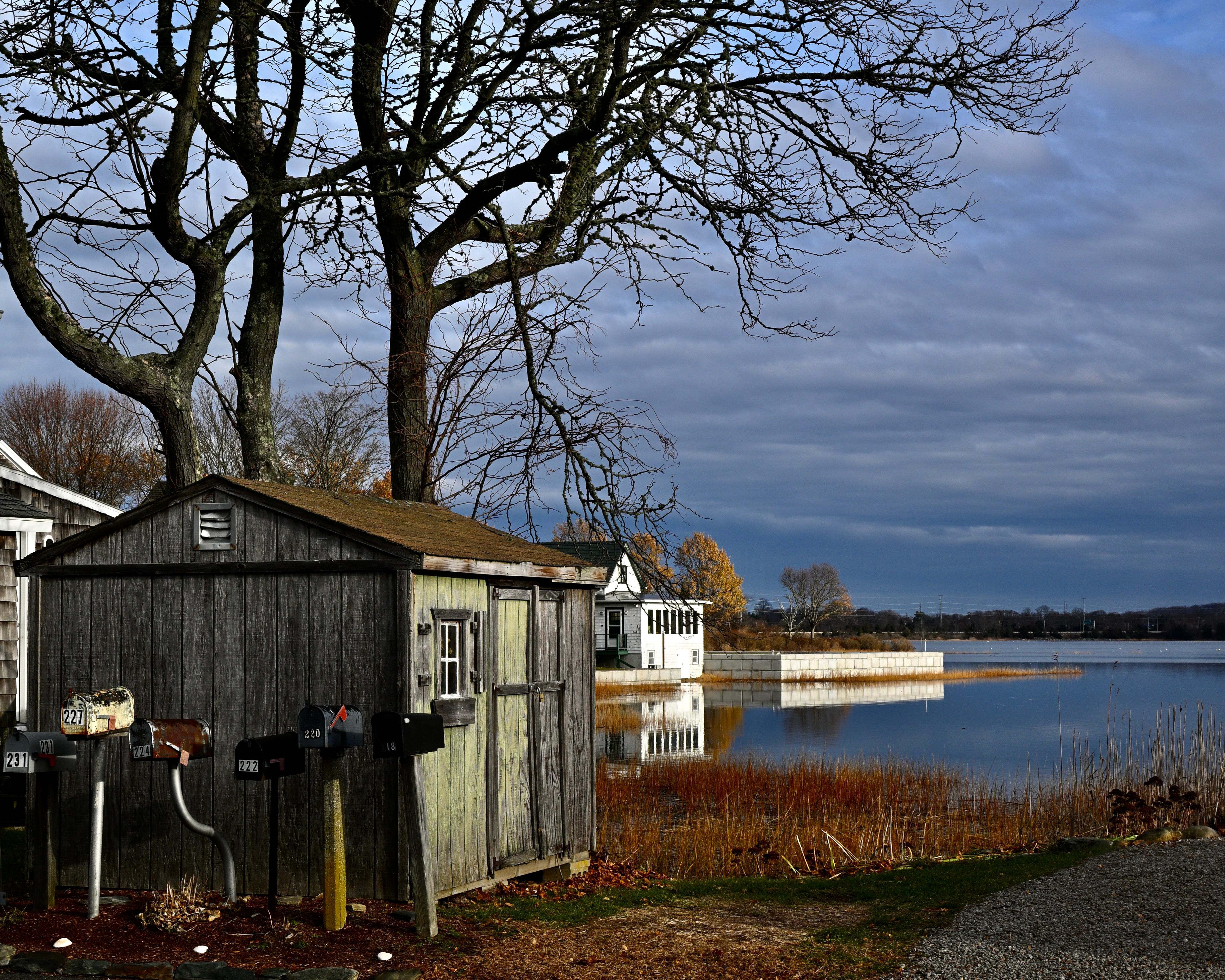 View from house on a blustery day 