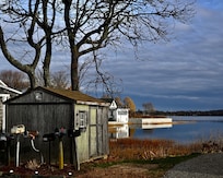 View from house on a blustery day