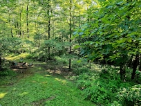 My first view of the property from the upper deck, the porch swings were the best place to sit and just listen to nature.
