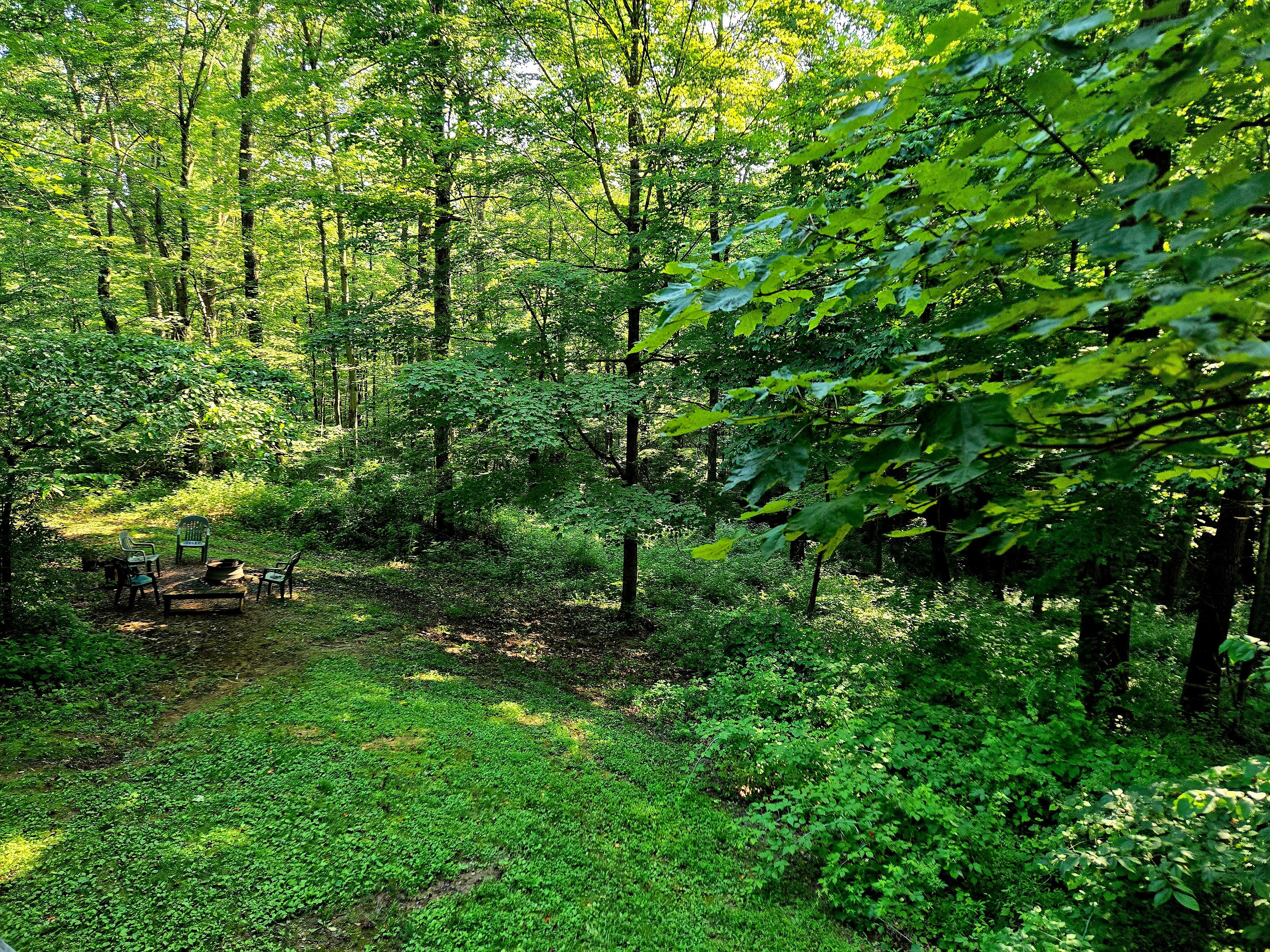 My first view of the property from the upper deck, the porch swings were the best place to sit and just listen to nature. 