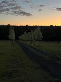 Dusk looking out from the deck