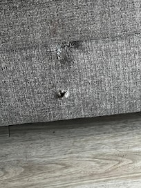 Torn & frayed furniture (couch)