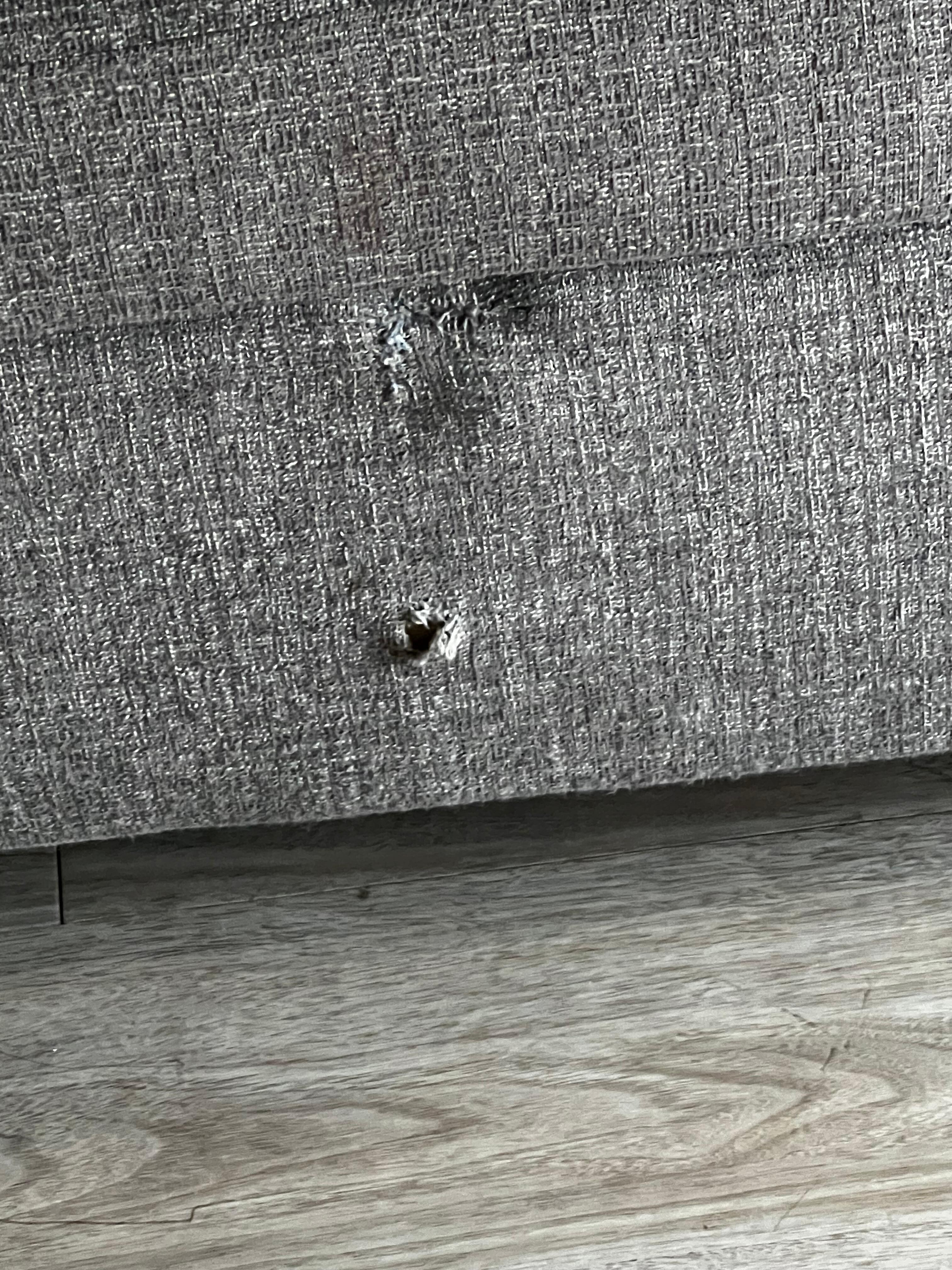 Torn & frayed furniture (couch)