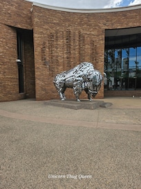 Awesome Buffalo downtown
