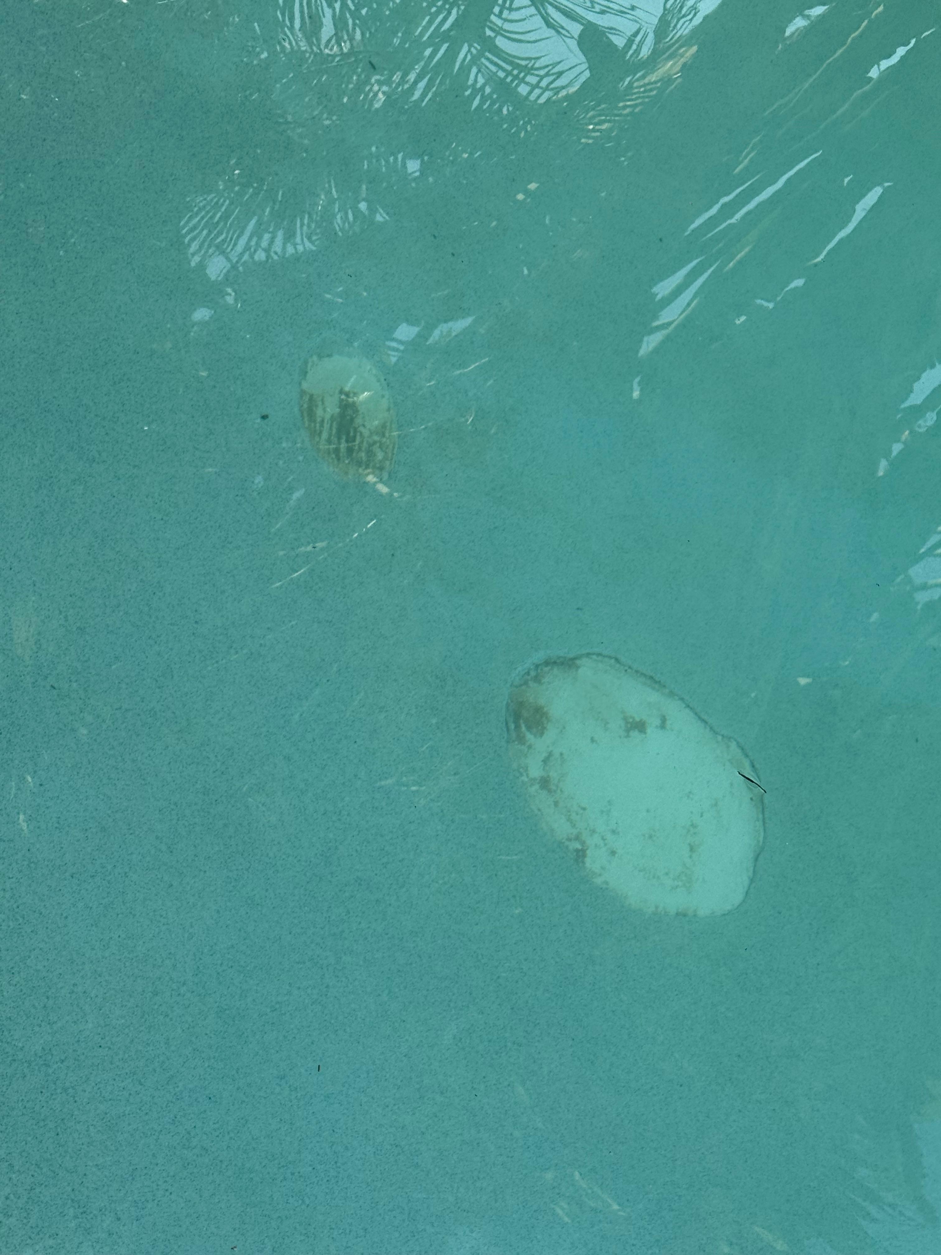 Cracks and missi g concrete in pool