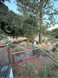 The garden from the deck.