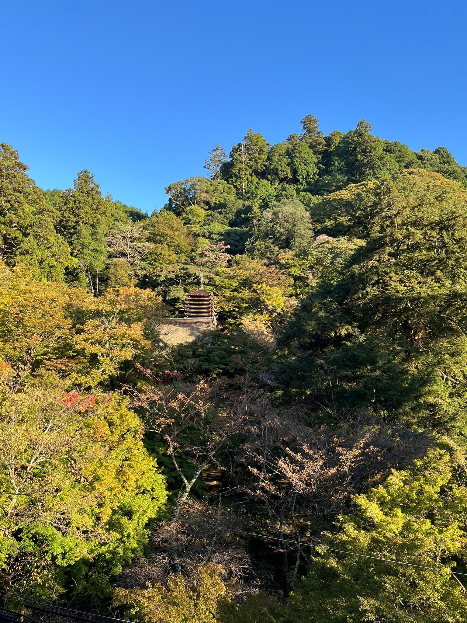 部屋のベランダから