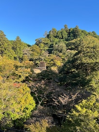部屋のベランダから