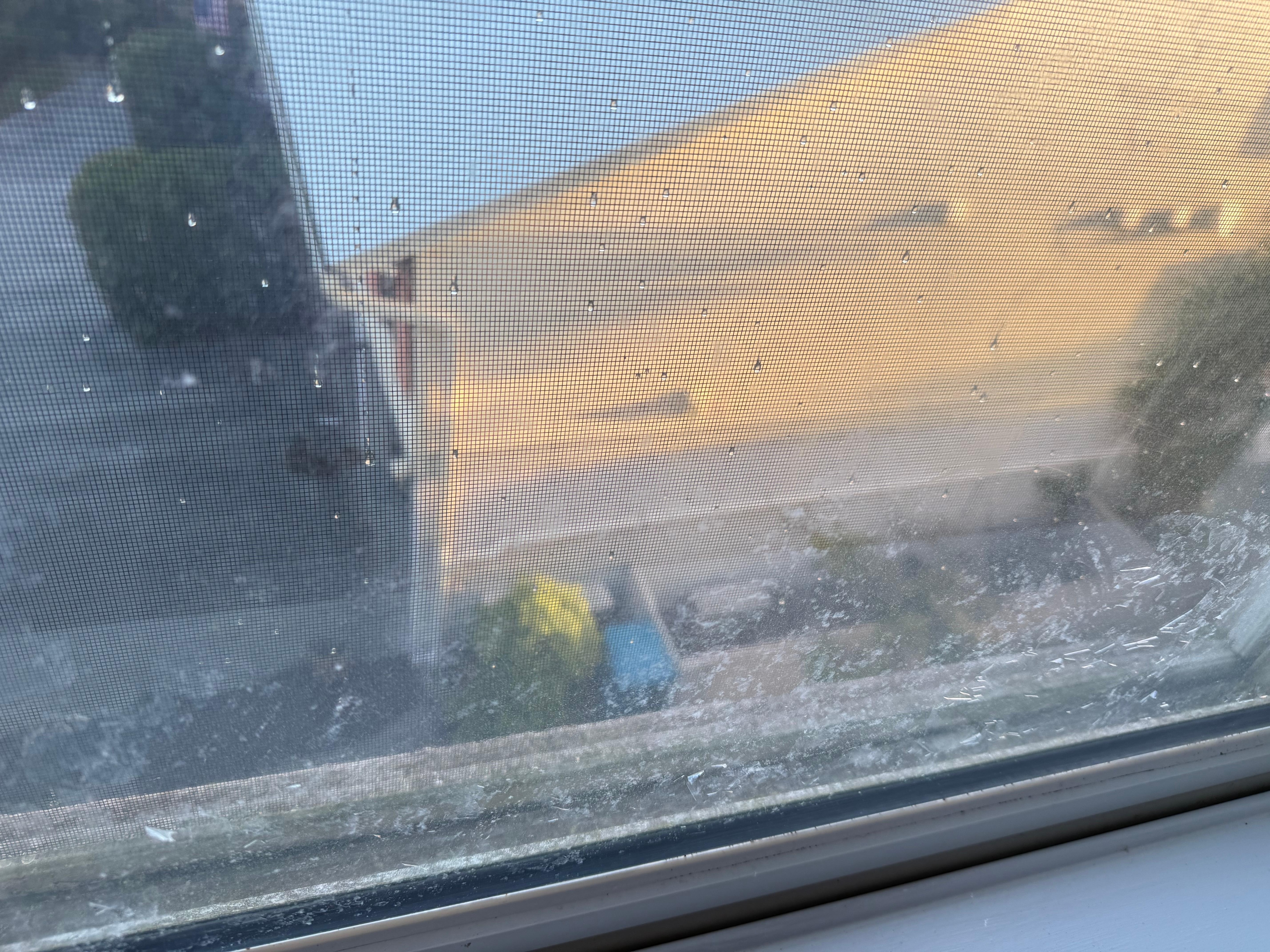 Windows would love a cleaning.