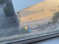 Windows would love a cleaning.