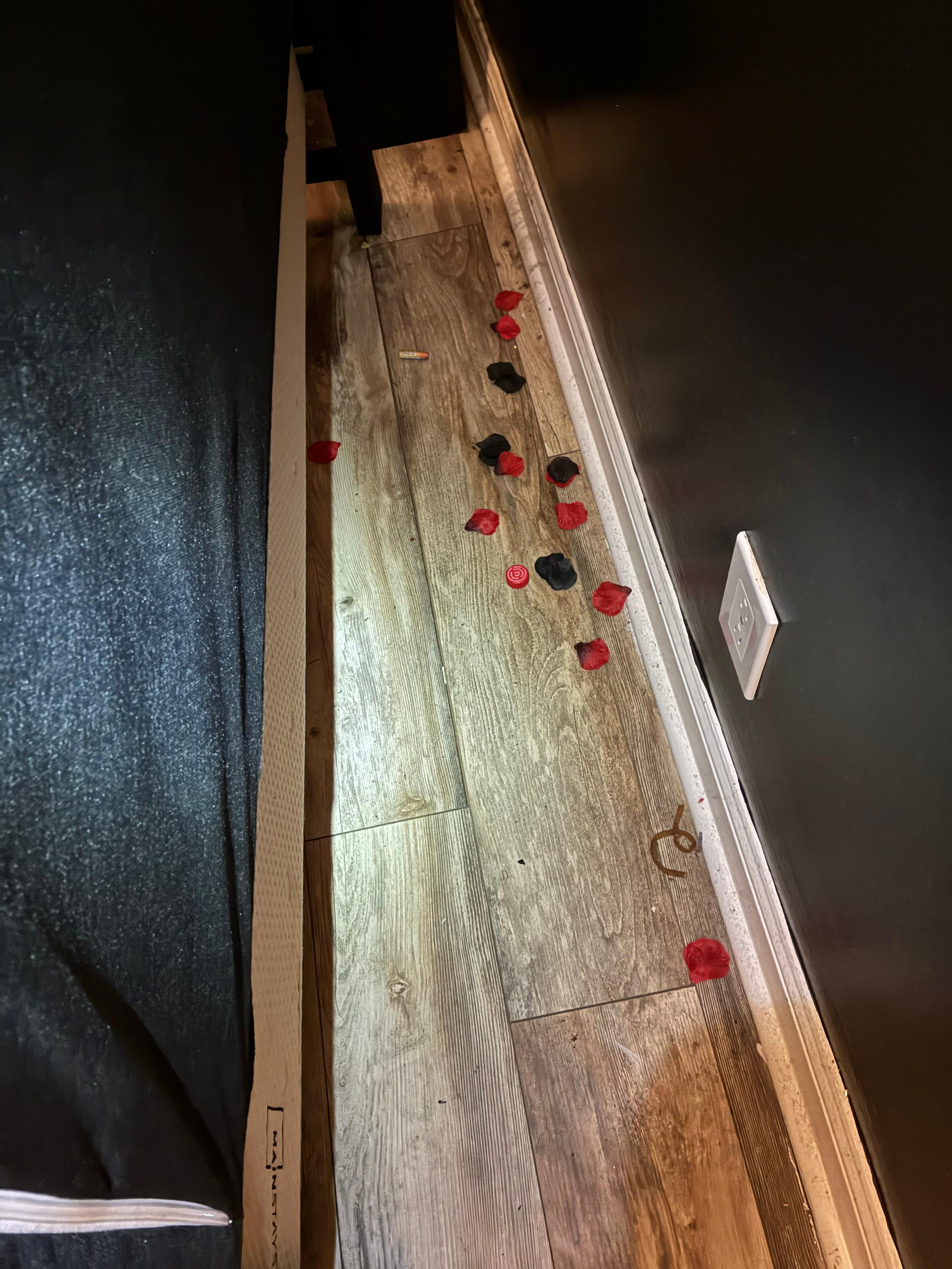 While looking for a power outlet we found this behind the bed. And the power outlet in the photo was blocked off