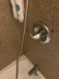 Dated Shower