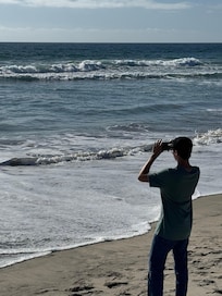 Sunset on the Oceanside Beach